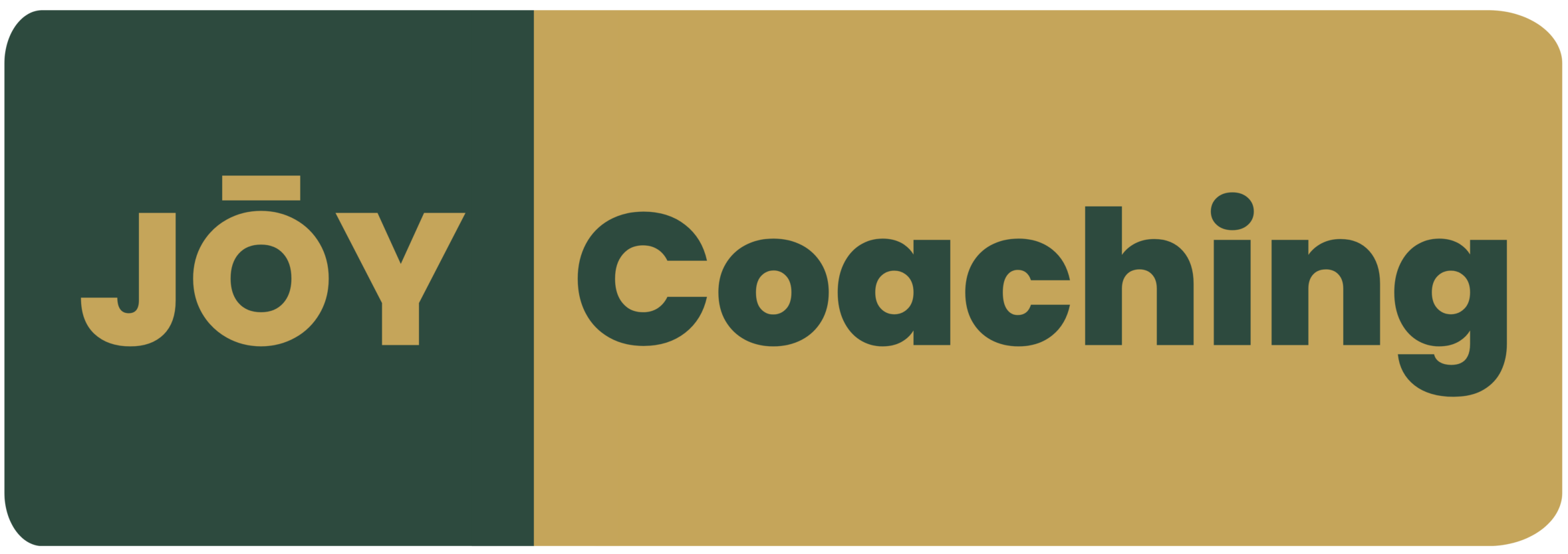 JŌY COACHING